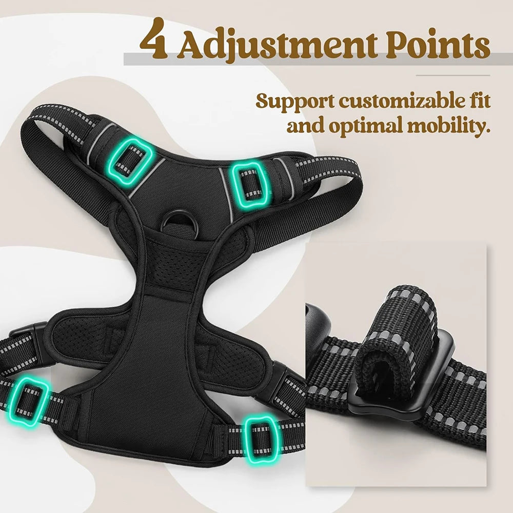 Pet Safe Easy Walk Harness