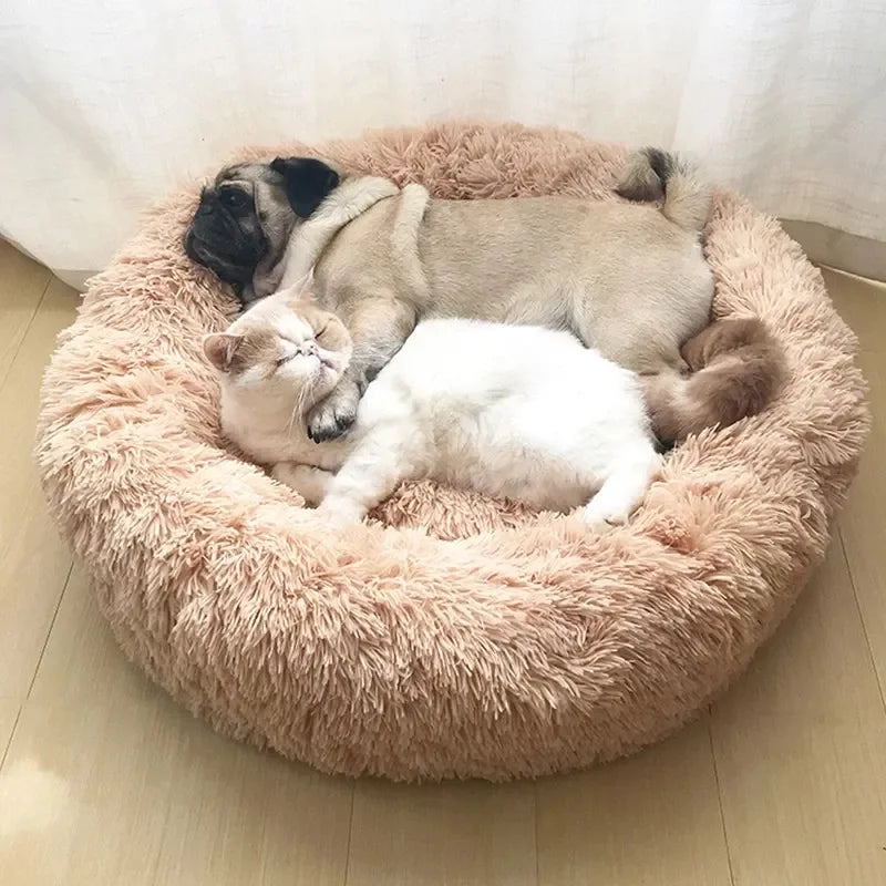 PetFusion Ultimate Pet Bed