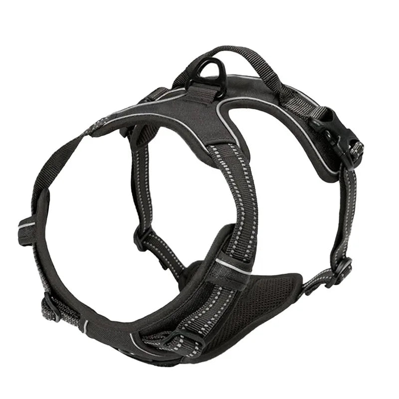 Pet Safe Easy Walk Harness