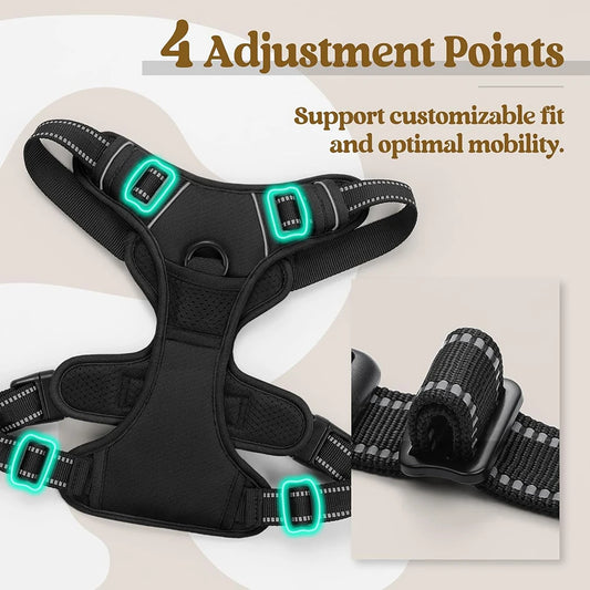 Pet Safe Easy Walk Harness