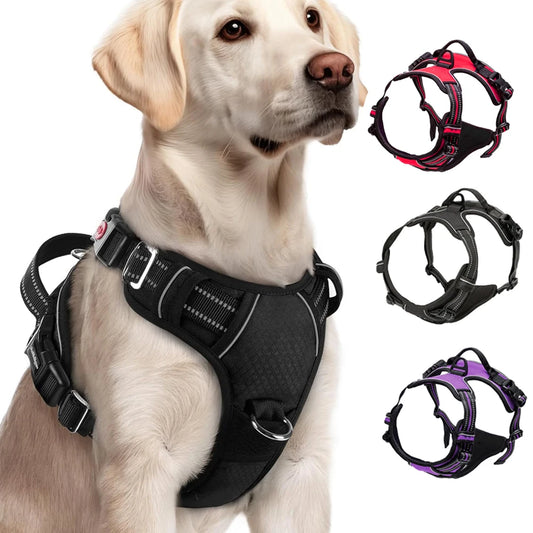 Pet Safe Easy Walk Harness