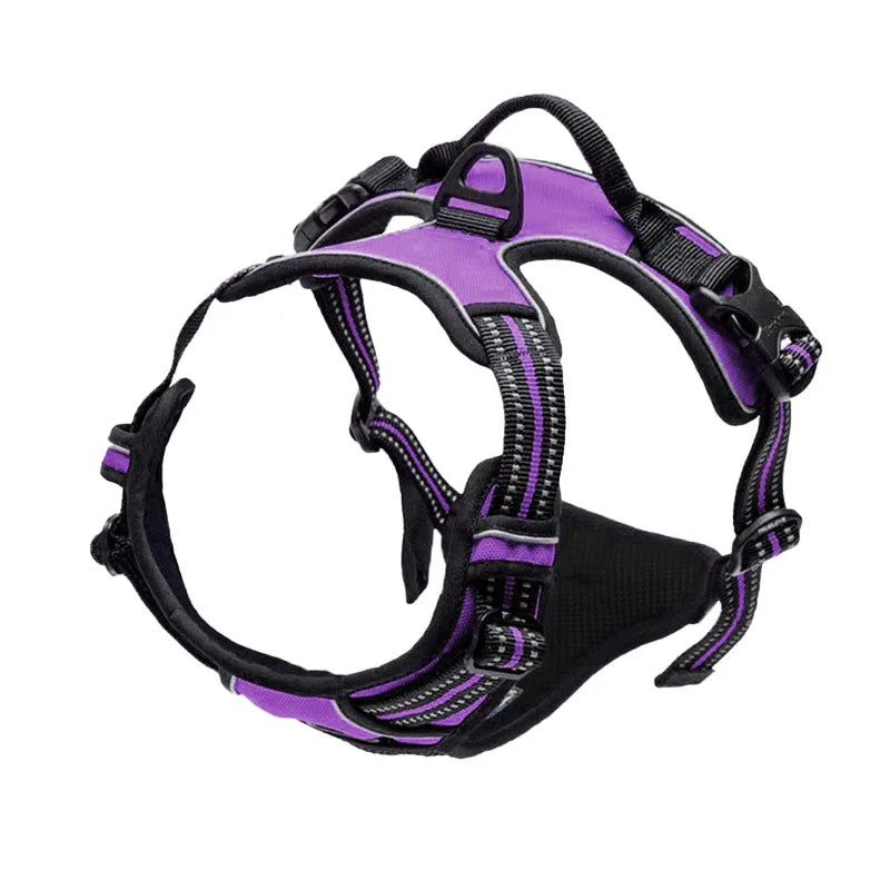 Pet Safe Easy Walk Harness