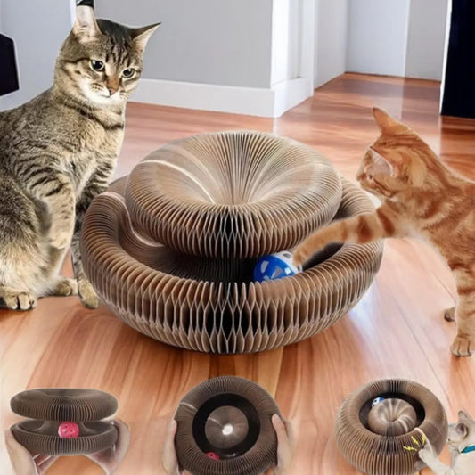 Scratch Board Toy for Cat