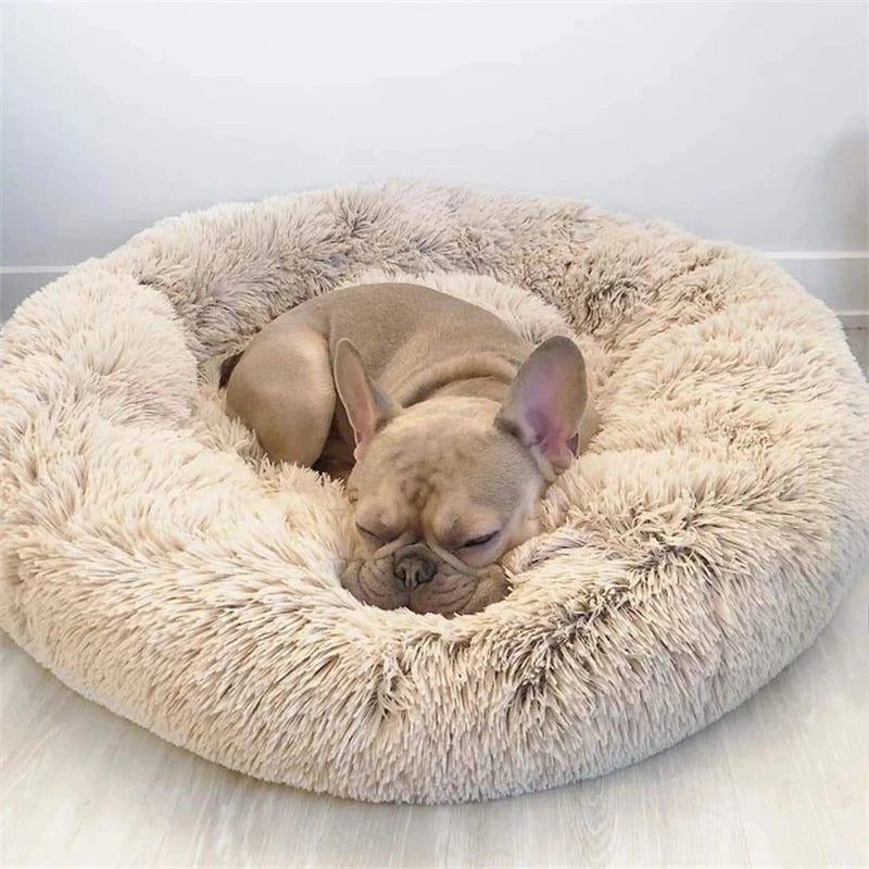 PetFusion Ultimate Pet Bed
