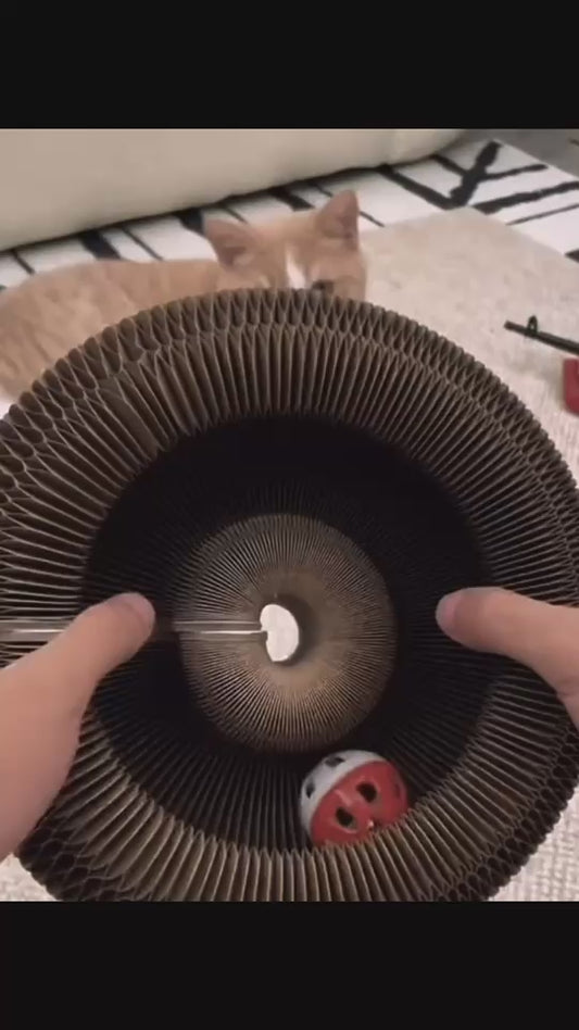 Scratch Board Toy for Cat